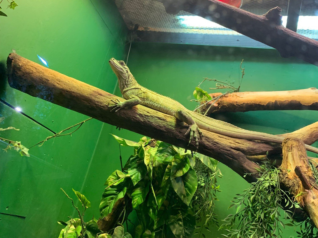 Blue Reef Aquarium-纽奎必去景点
