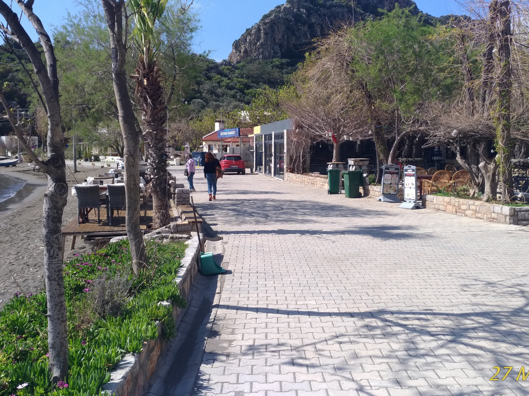 Hayıtbuku Koyu-Mesudiye必去景点