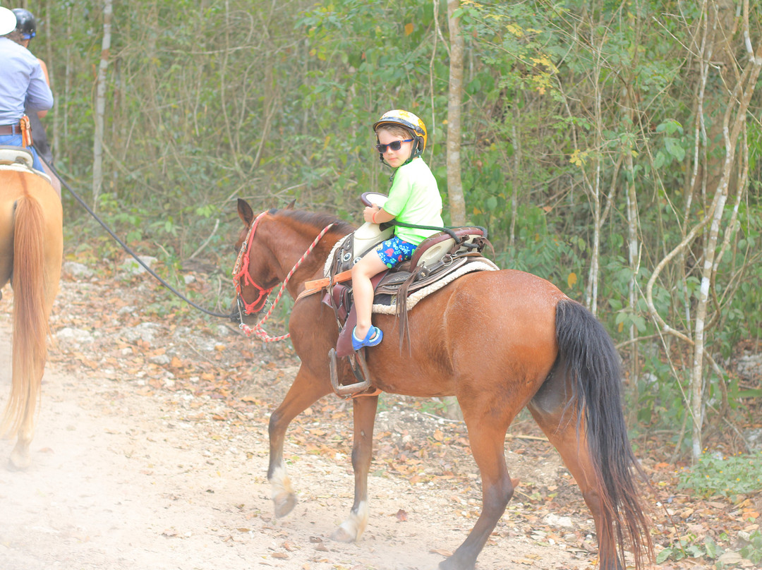 Cenote La Noria-从莫雷洛斯港必去景点