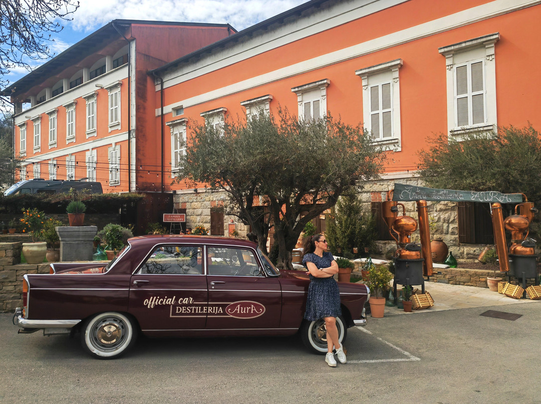 Aura Distillery-Buzet必去景点