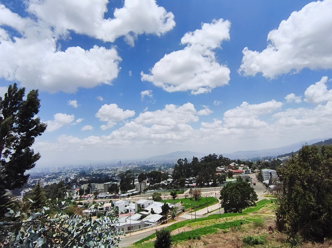 Liyu Ethiopia Tours-亚的斯亚贝巴必去景点