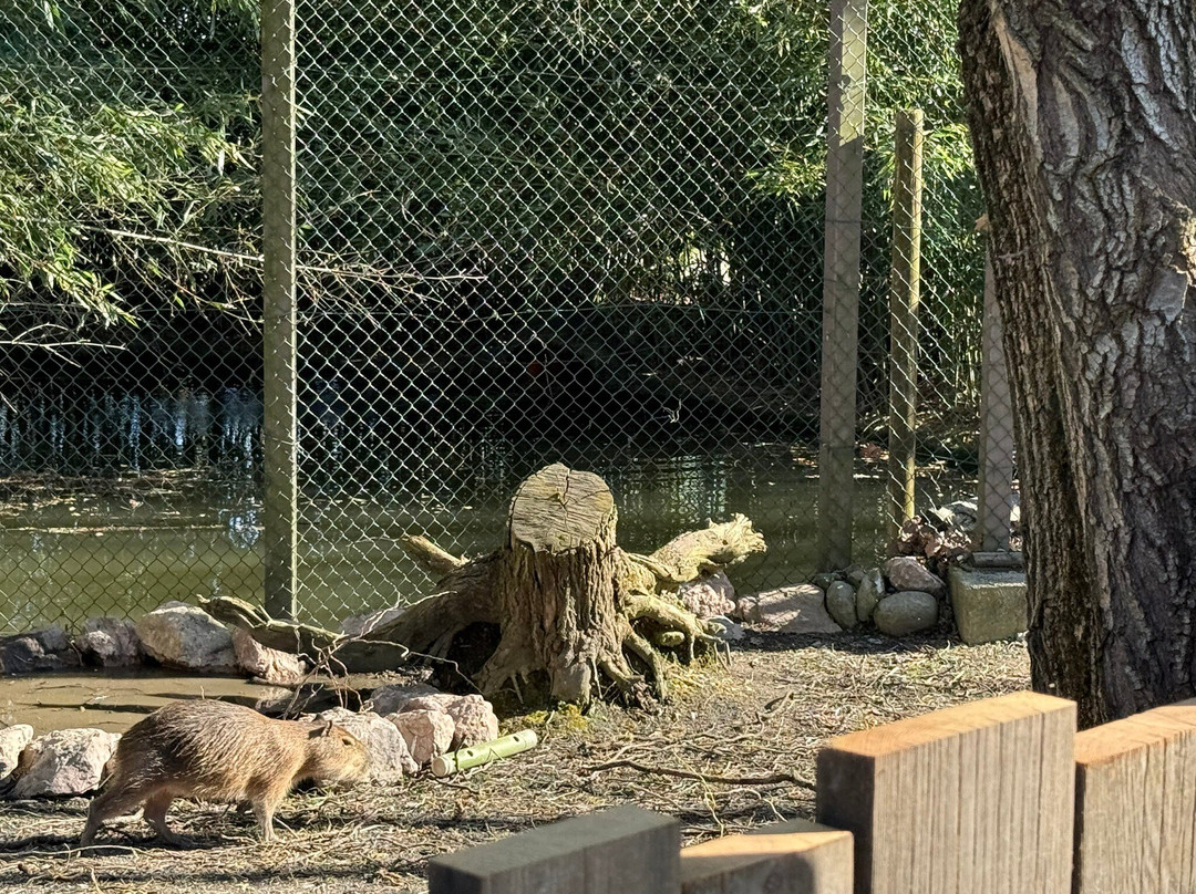 Zoom Torino-Cumiana必去景点