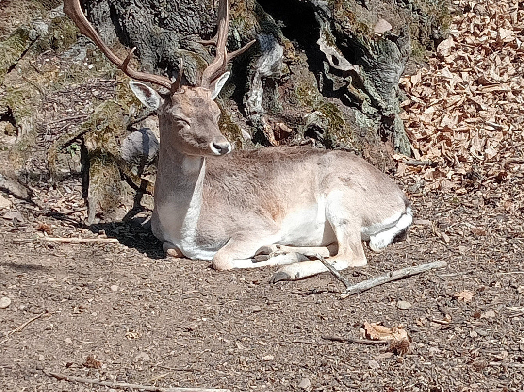 Archeopark-Boario Terme必去景点