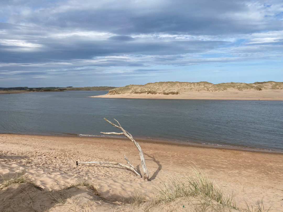 Newburgh Seals Beach-Newburgh必去景点