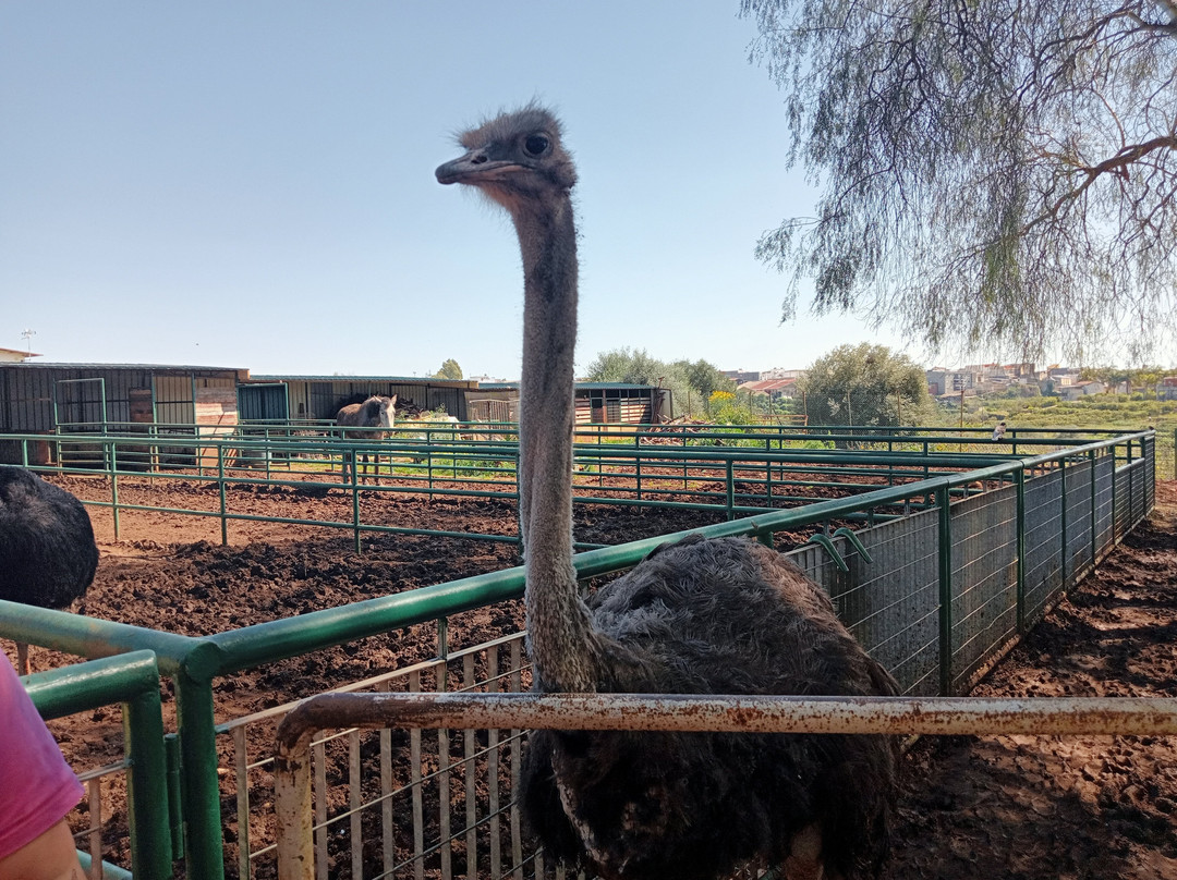 La Fattoria Dei Salari-Floridia必去景点