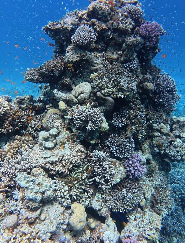 Slydive Dahab-达哈卜必去景点