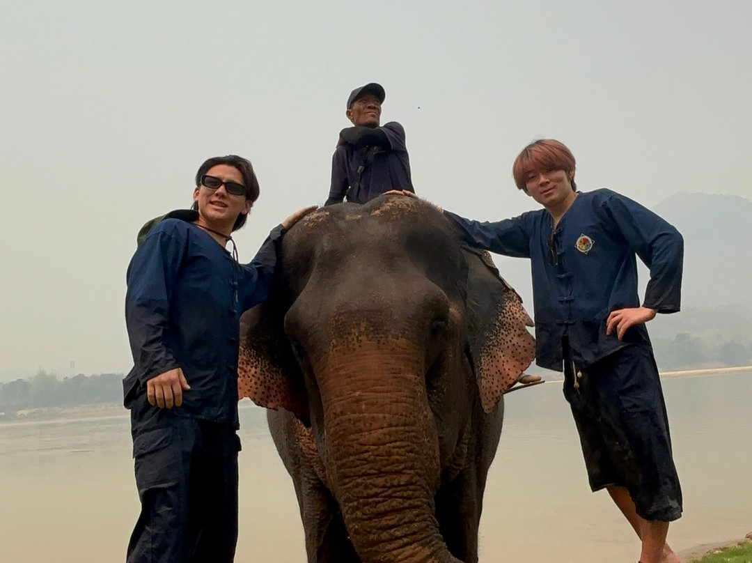 Manifa Elephant Camp-Sang Ha必去景点