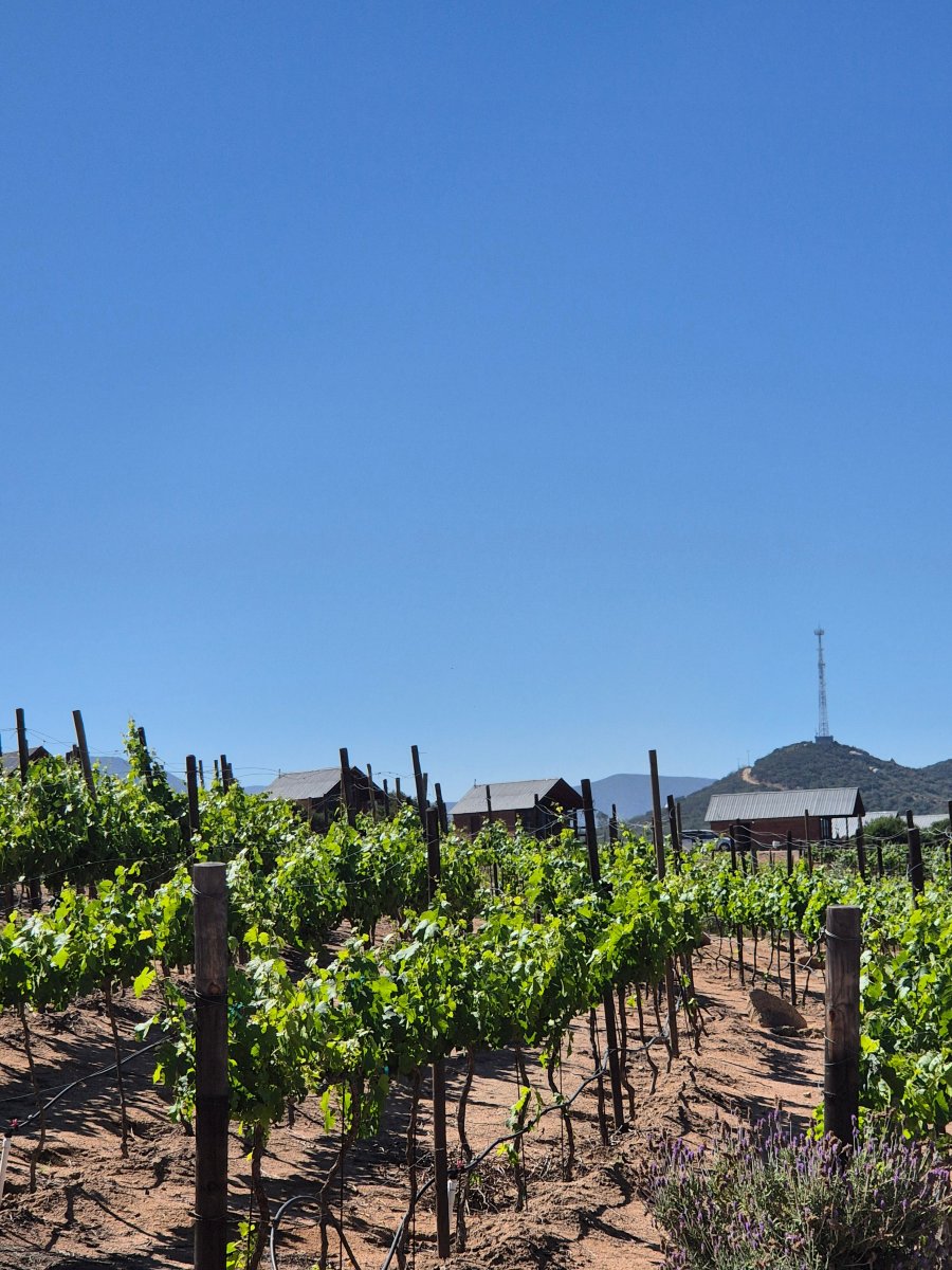 冥想度假村&温泉-官方