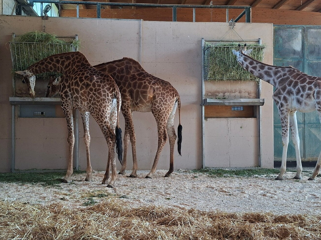 Parco Faunistico Le Cornelle-Valbrembo必去景点