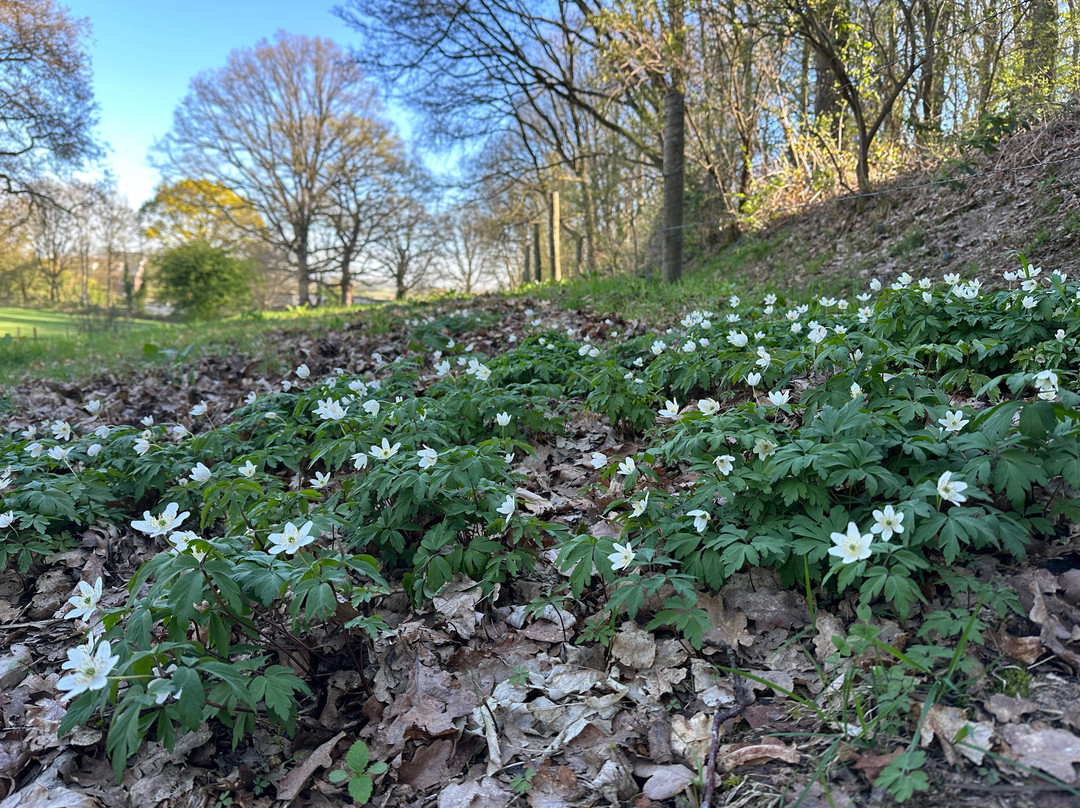 弗莱彻瓦尔蒙特公园酒店主图
