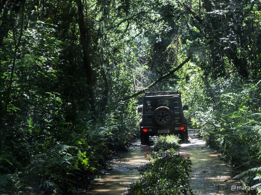 Fabio Rego Tunnel-森热斯必去景点