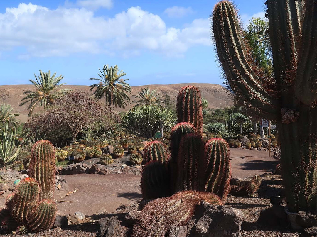 Jardin Botanico-La Lajita必去景点