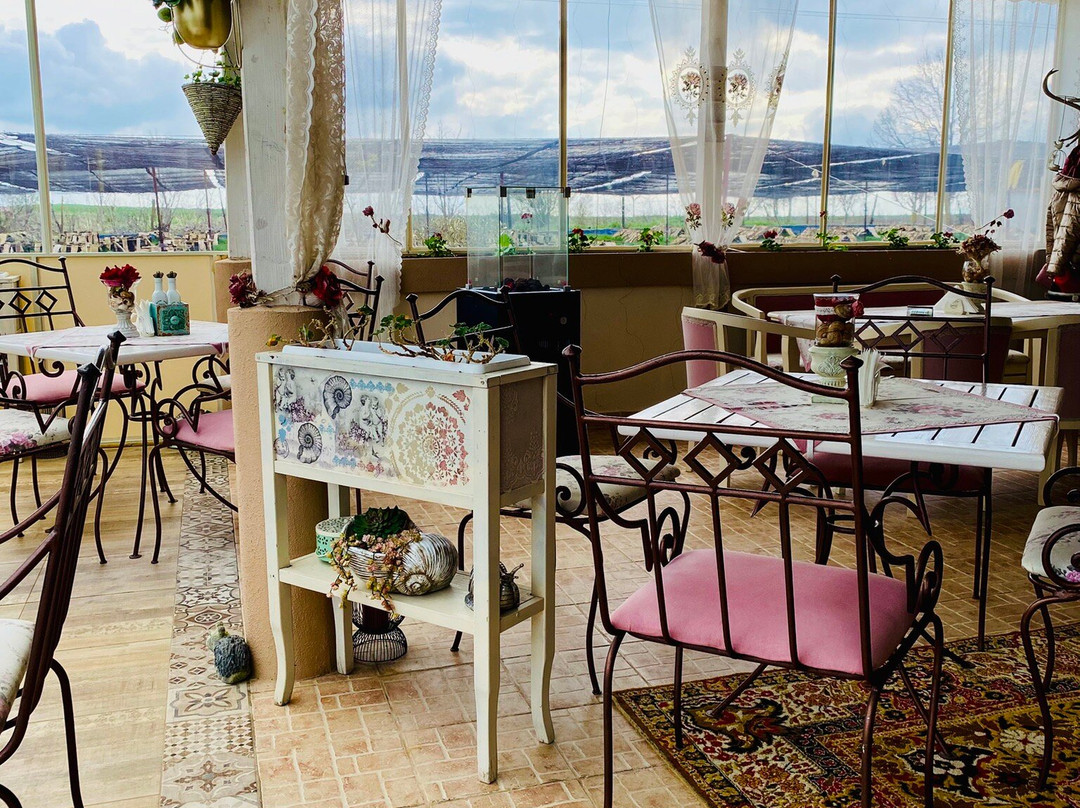 Snail Farm & Restaurant Eco - Telus-Balgarevo必去景点