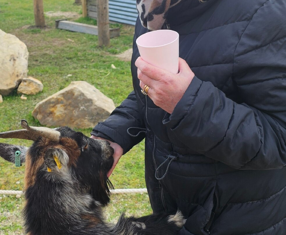 Hillview Animal Park-Alloa必去景点