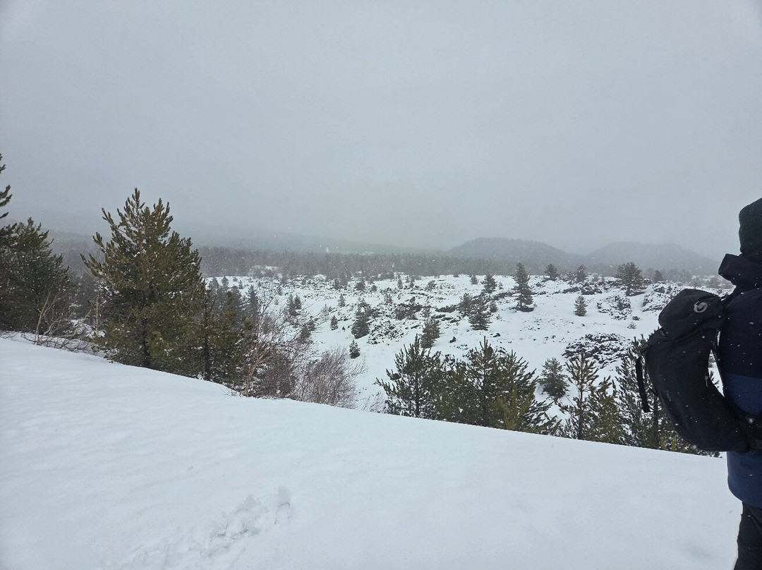 Etna Experience Excursions-卡塔尼亚必去景点