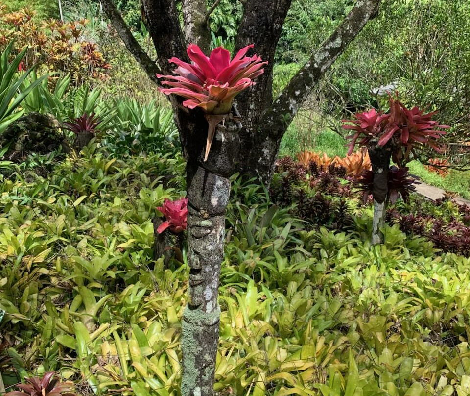 Jardin Botanique de Valombreuse-Petit-Bourg必去景点