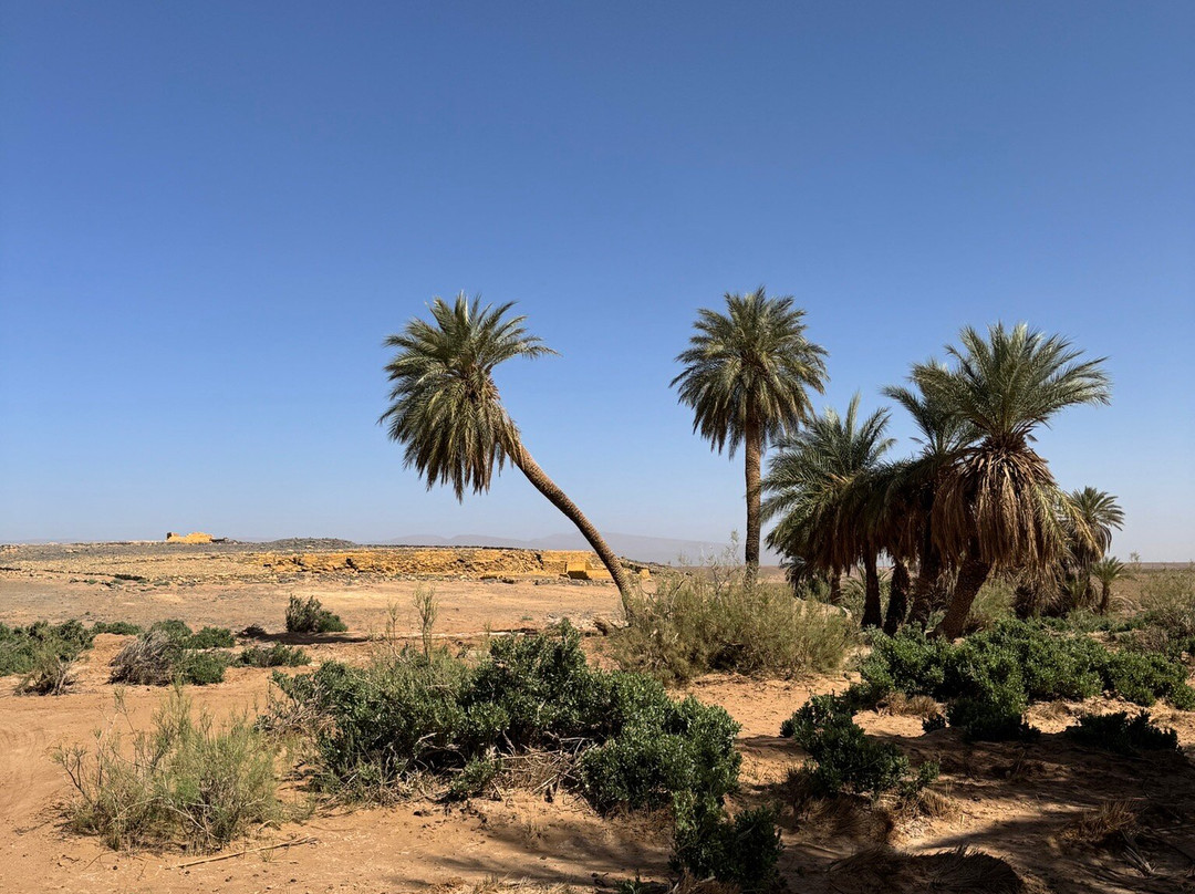 Jebel Trekking-马拉喀什必去景点