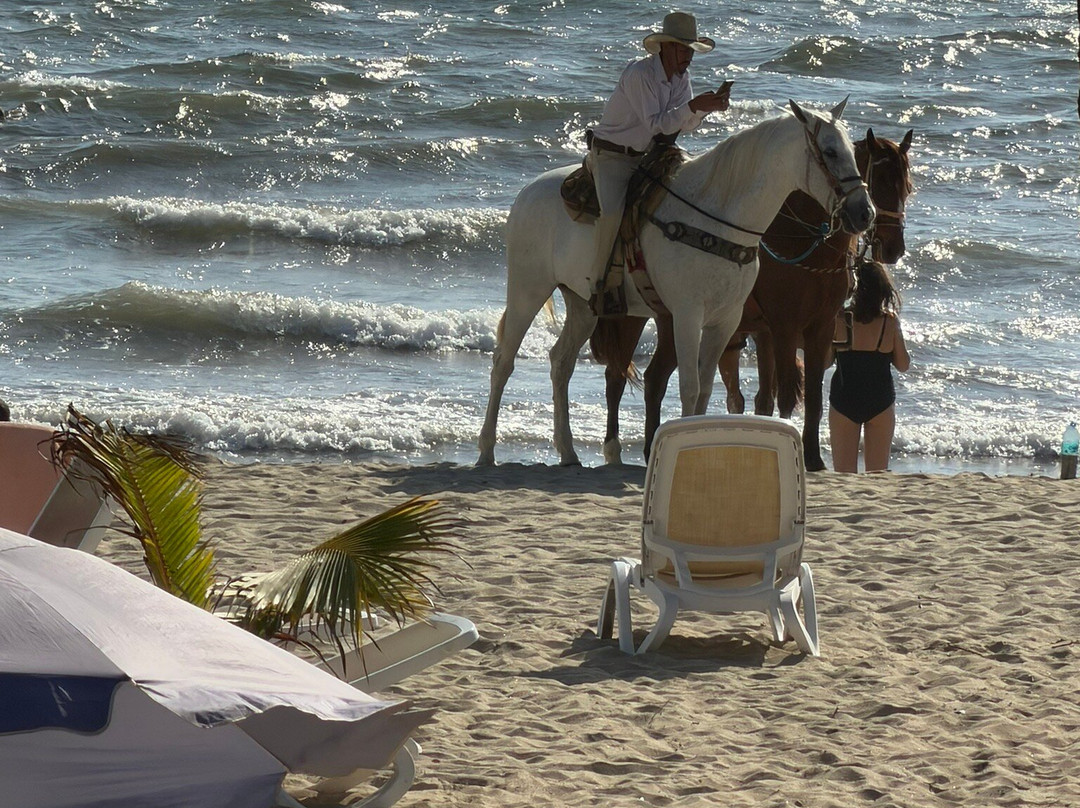 巴亚尔塔悦宜湾酒店-全包主图