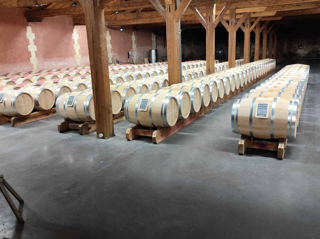 Alice au pays des Paons-阿维桑必去景点