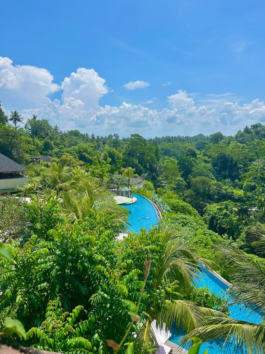 巴厘岛乌布威斯汀水疗度假酒店-泳池