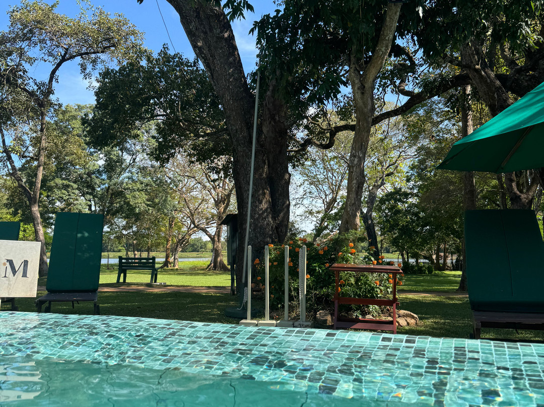 辛纳蒙·哈伯瑞纳度假村主图