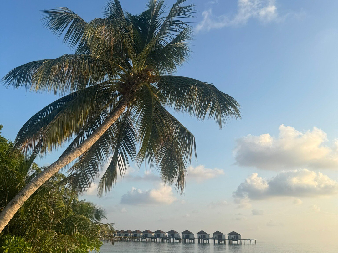 鲁滨逊俱乐部度假村主图