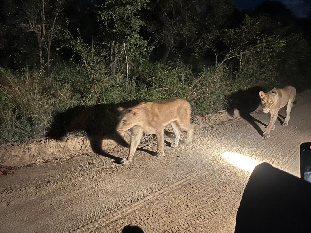 Umkumbe Safari Lodge主图