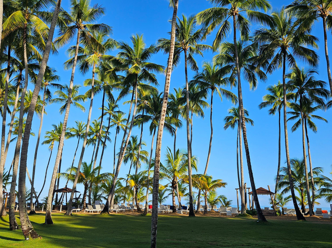 韦瓦V 萨玛纳全包度假村，温德姆Trademark精选主图