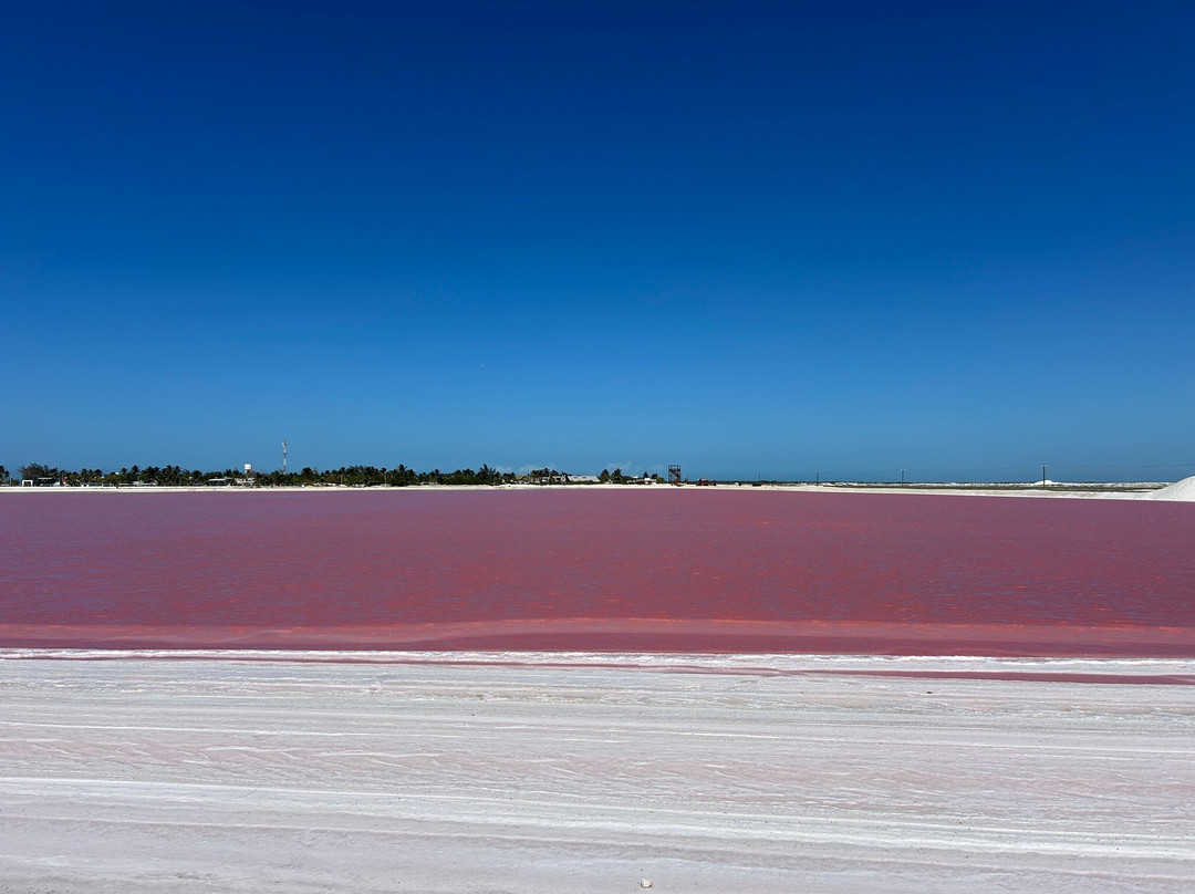 Las Coloradas-里奥拉加托斯必去景点