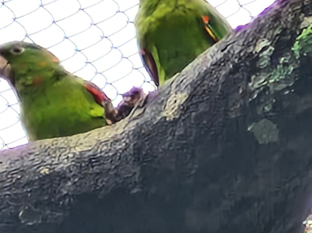 Parque Arvorar-Aquiraz必去景点