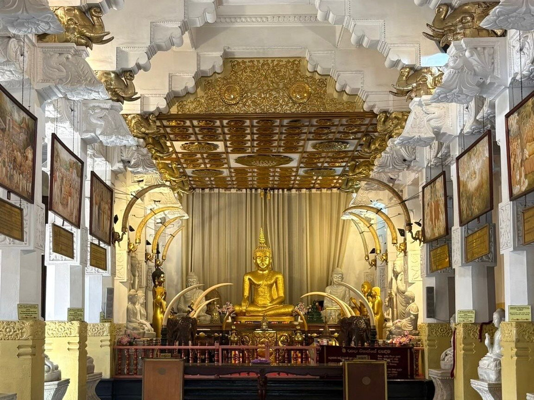 Traumland Tours-科伦坡必去景点