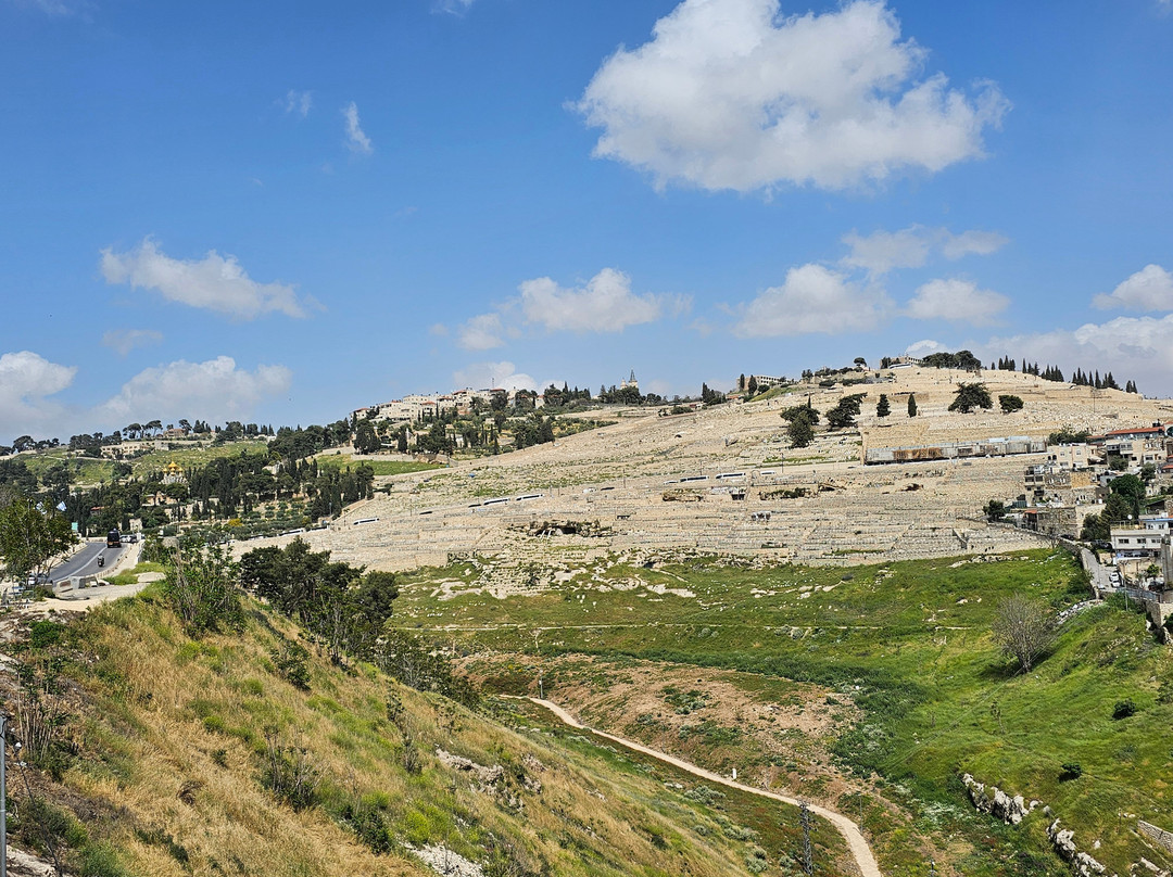 City Of David National Park-耶路撒冷必去景点
