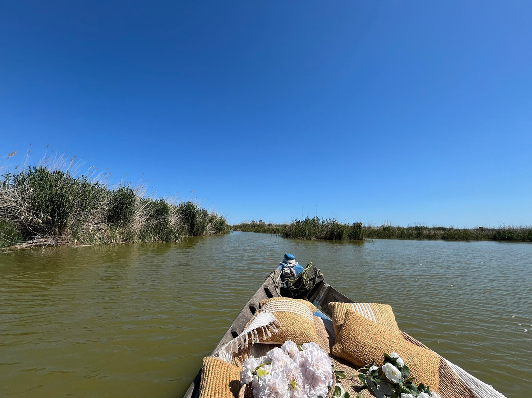 Paseos en Barca por la Albufera "El Roig"