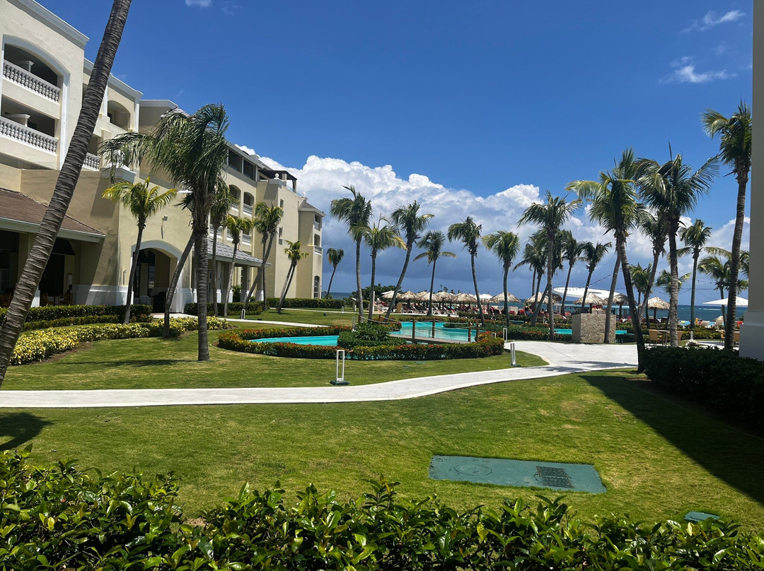 Iberostar Waves Rose Hall Beach主图