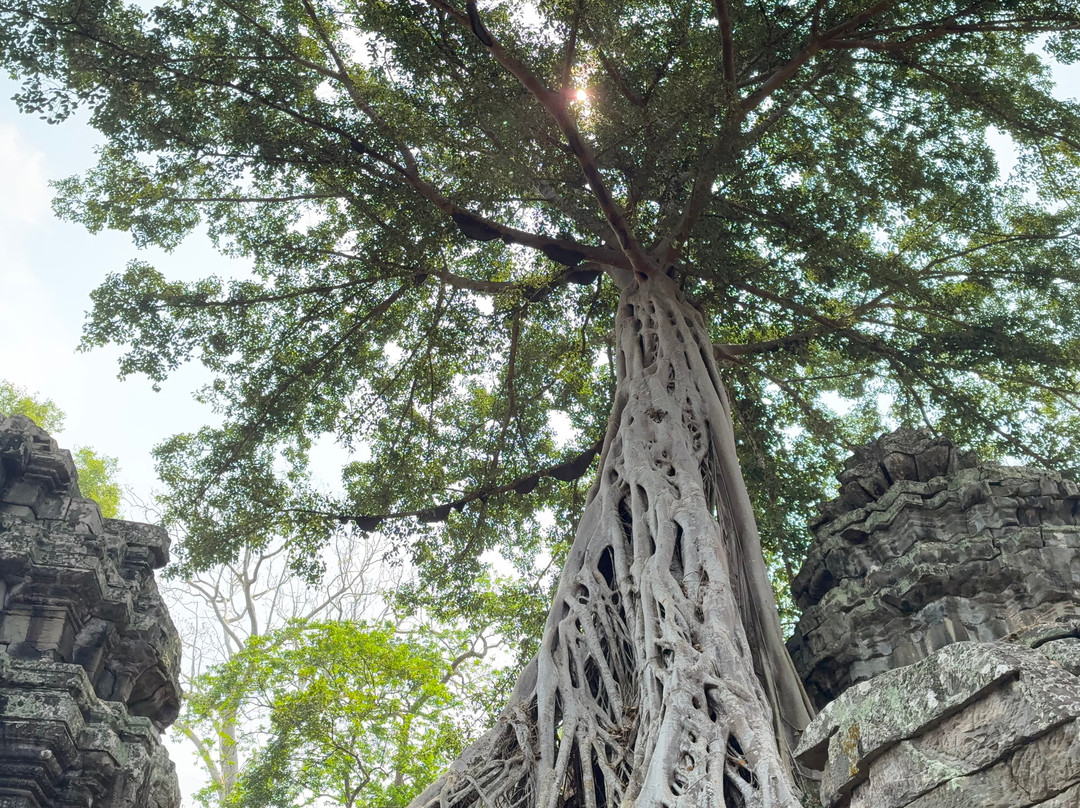 Horizon Vietnam Travel-河内必去景点