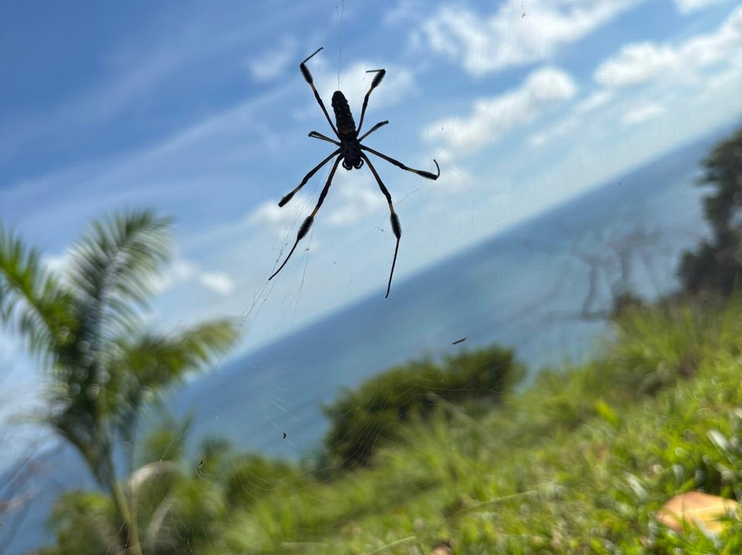 Bosque del Cabo Rain Forest Lodge主图