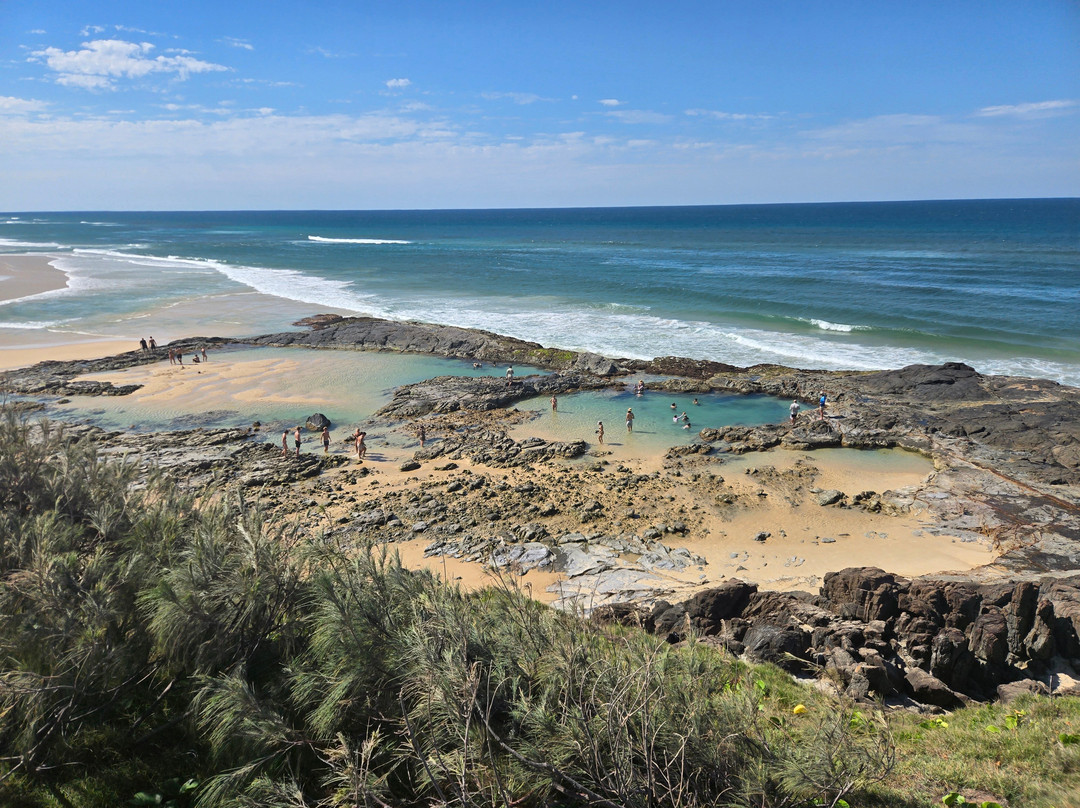 Drop Bear K'gari Fraser Island Adventures-弗雷泽岛必去景点