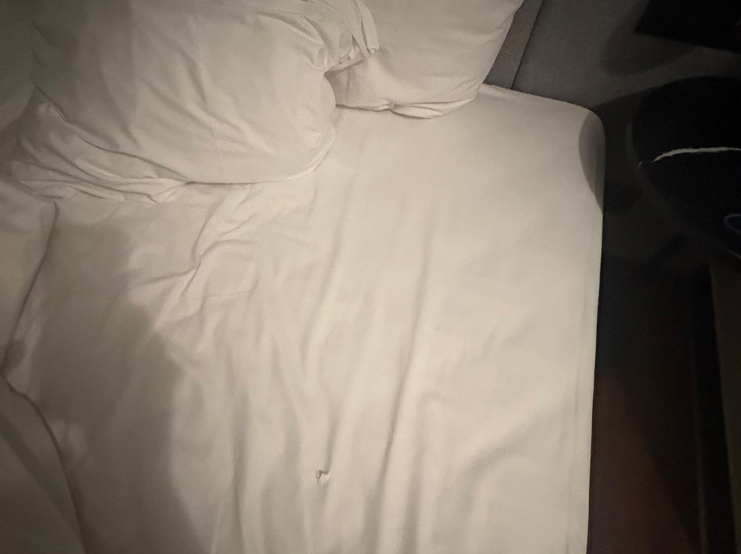 苏黎世机场丽笙酒店主图