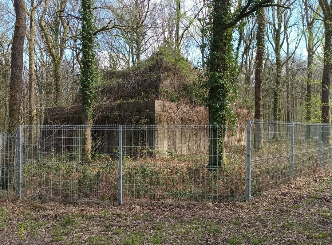 Forest of Dean Sculpture Trail-Coleford必去景点