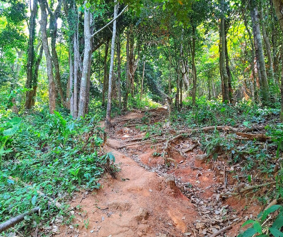 Black Rock Viewpoint-卡伦必去景点