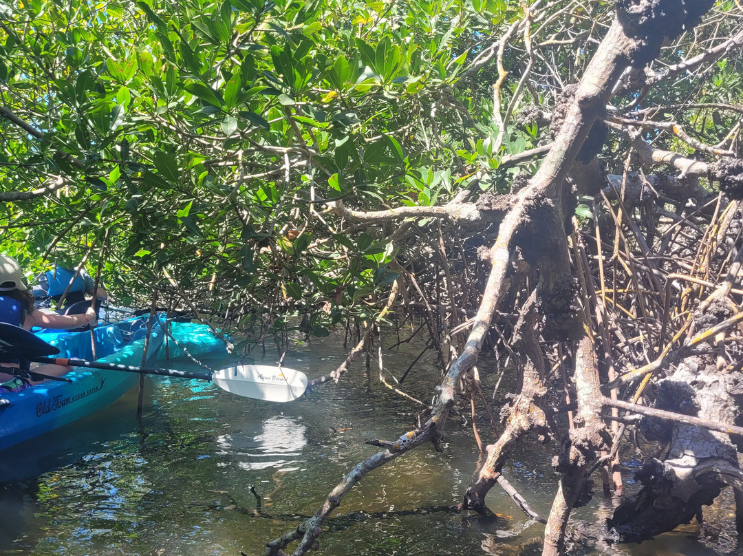 Gulf Coast Kayak-开普科勒尔必去景点