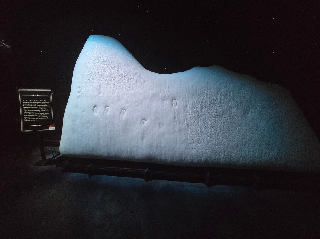 Titanic: The Artifact Exhibition-奥兰多必去景点