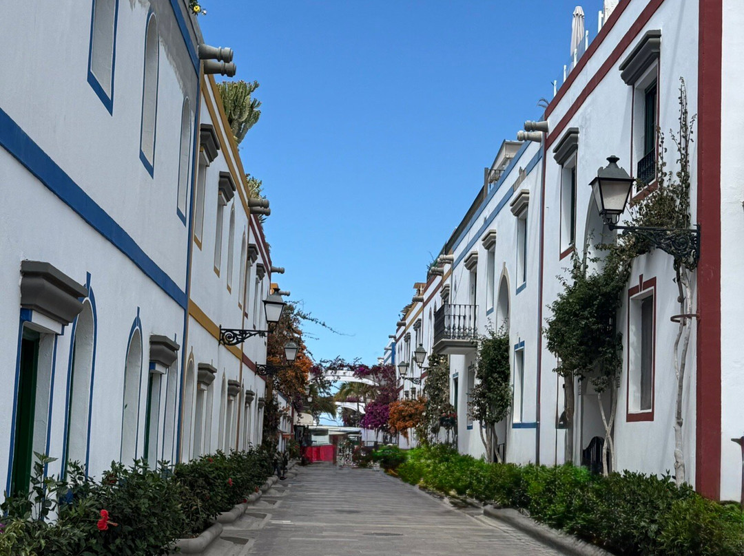 Playa de Mogan-莫干港必去景点