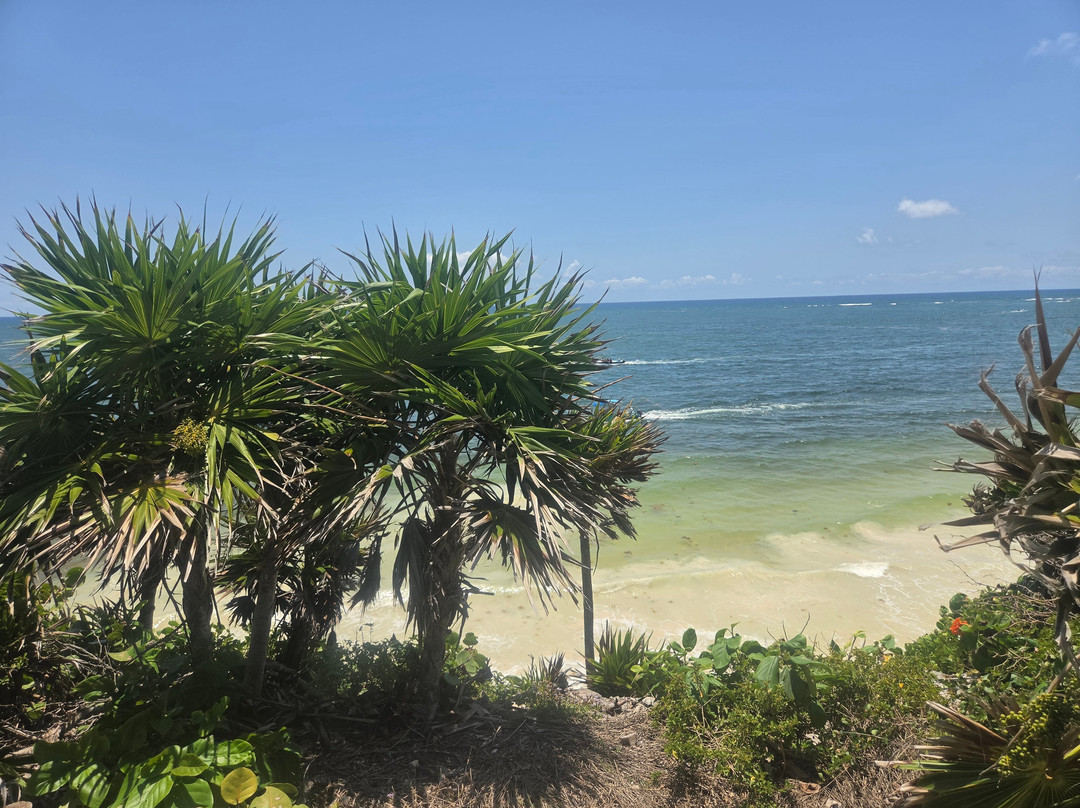 Ekinox Tours Tulum-图伦必去景点