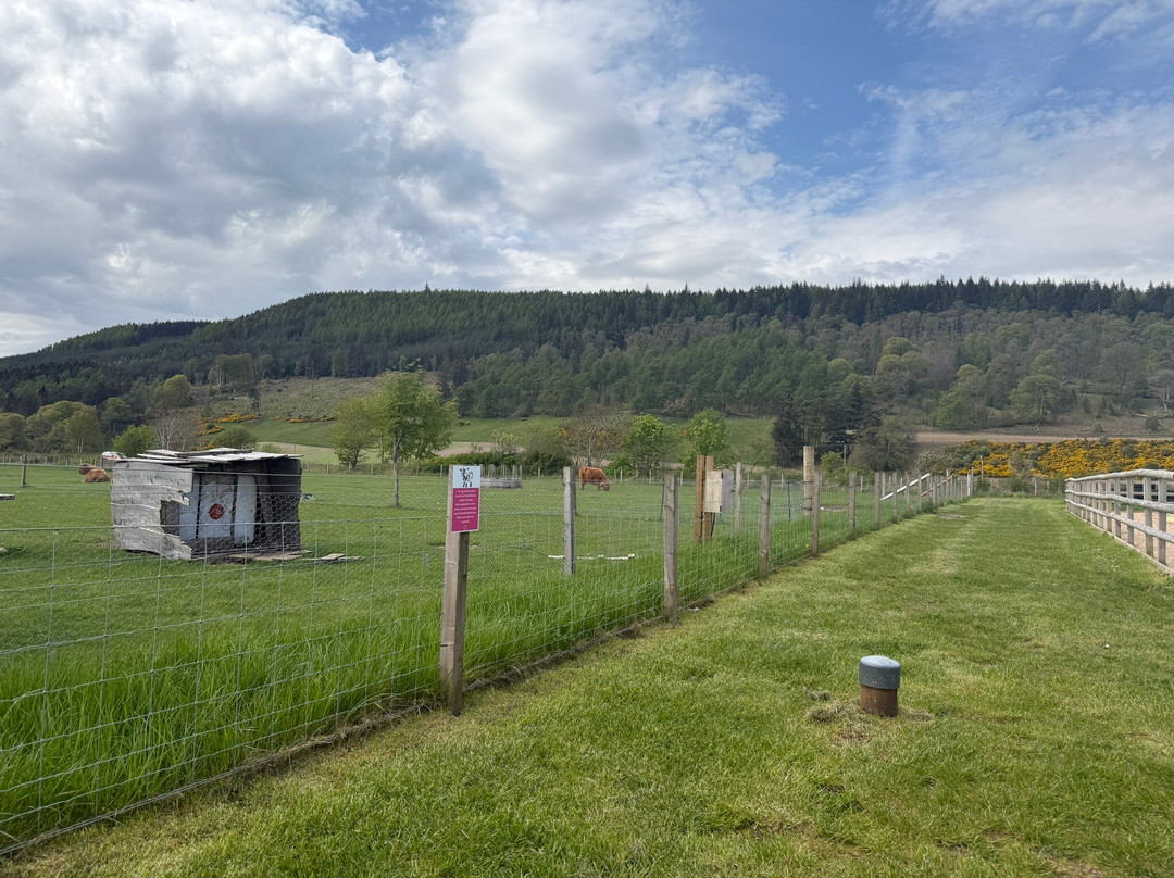 Farm Ness