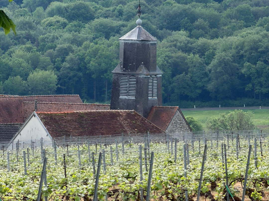 Champagne Edmond Bourdelat-Brugny-Vaudancourt必去景点