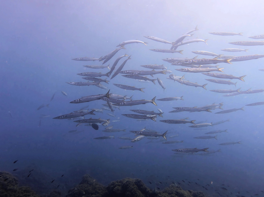 Diving Menorca-米诺卡必去景点