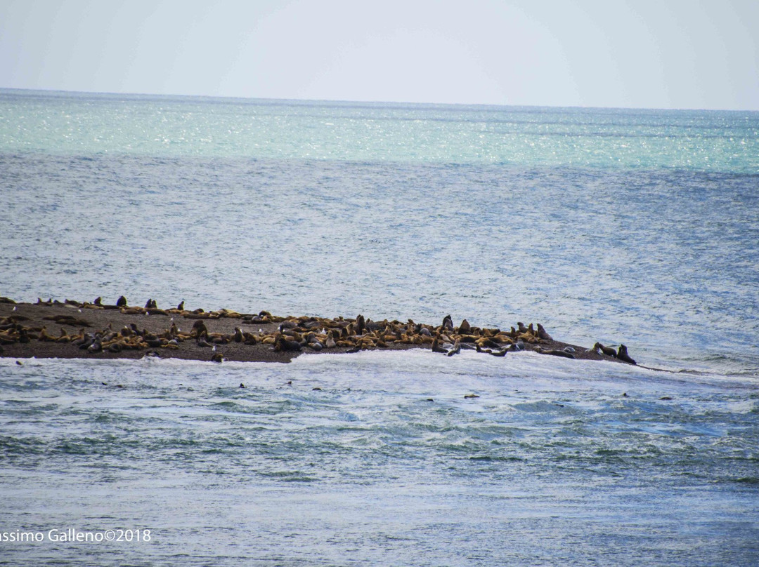 Caleta Valdes-Puerto Piramides必去景点