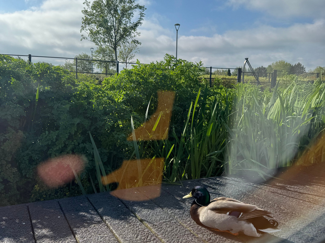 Crabtree Narrowboat Hire-Bilsborrow必去景点
