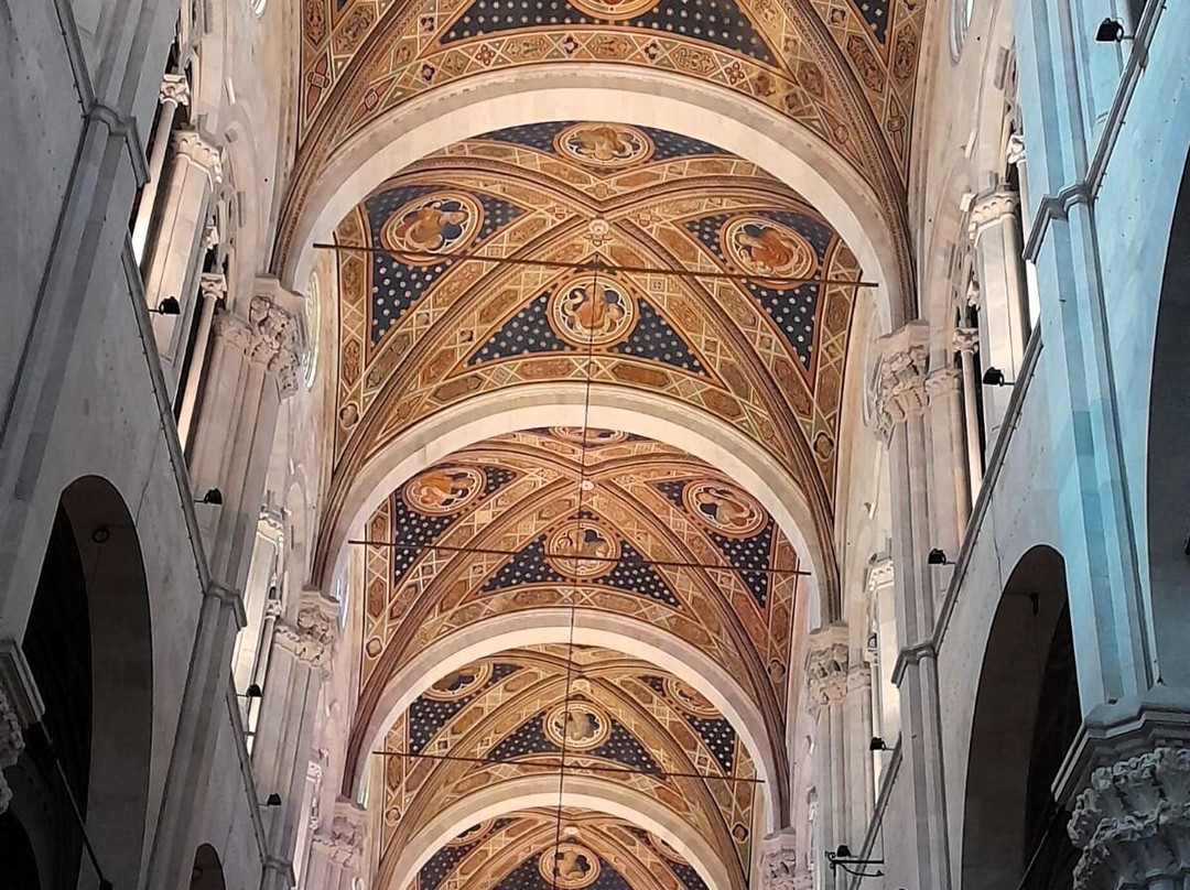 Duomo Di San Martino-卢卡必去景点